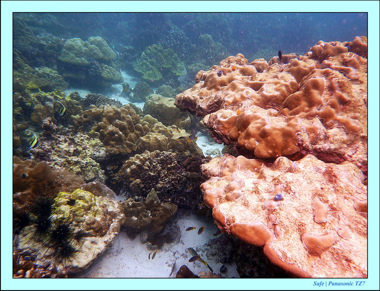 2011 - 07 - Koh Lipe 31